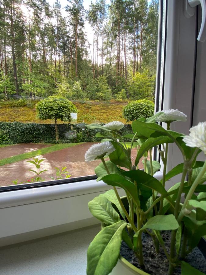 Lesny Apartament Остшице Екстер'єр фото