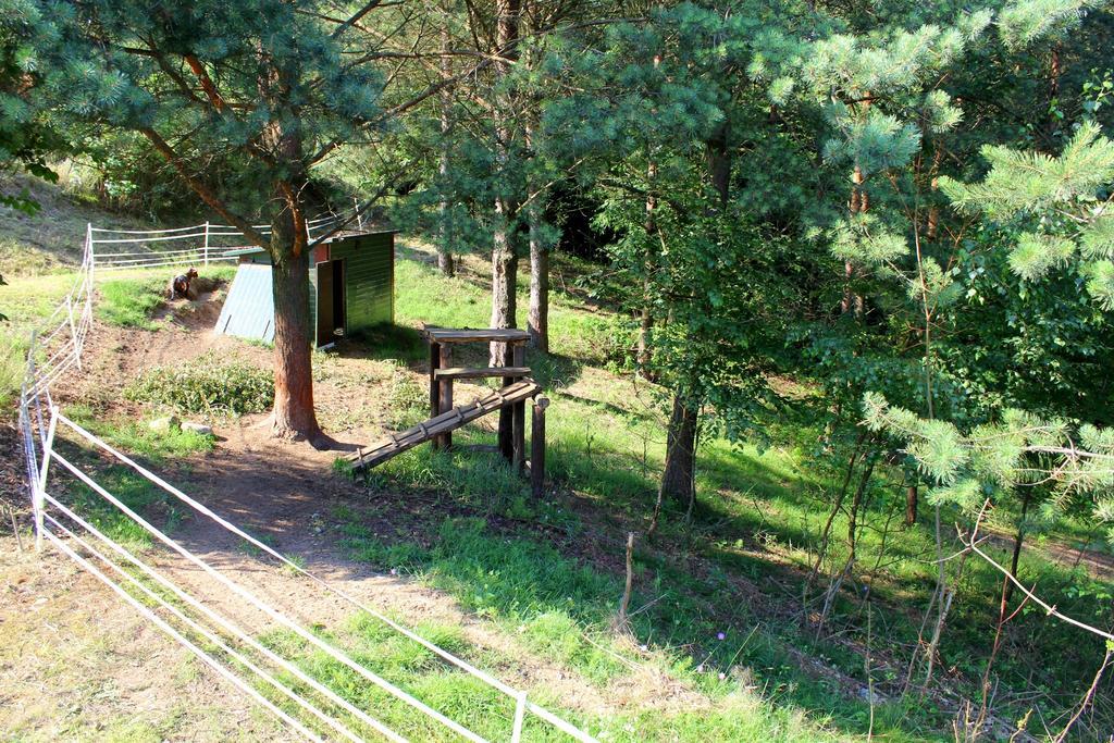 Lesny Apartament Остшице Екстер'єр фото